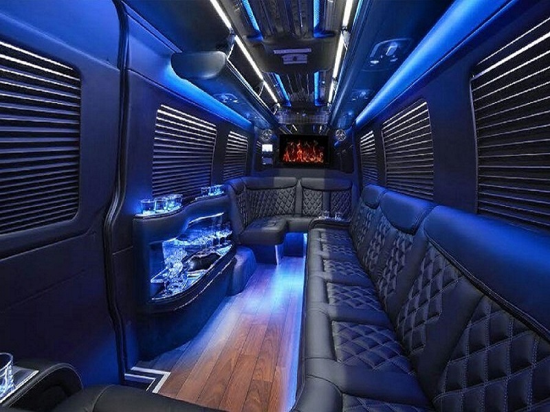 10-12 Pass Sprinter Party Bus Inside Picture